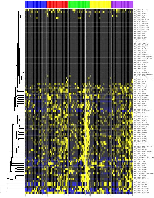 Image histoneH3k27me3Heatmap