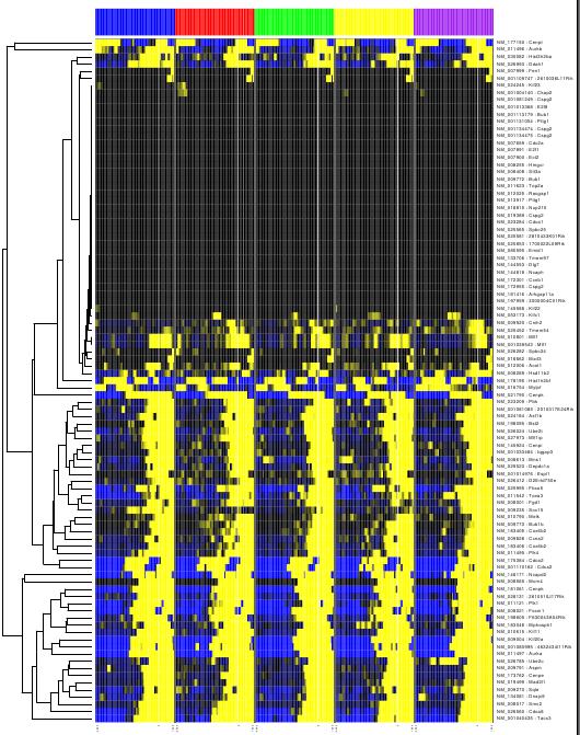 Image histoneH3k4me3Heatmap